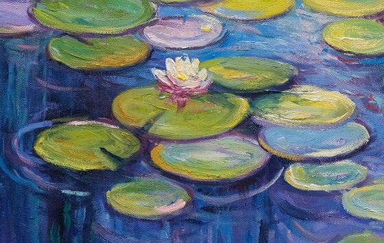 Water Lilies Pond