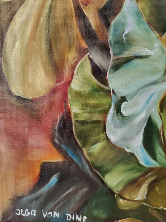 African protea