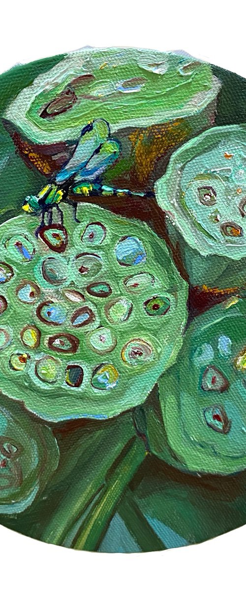 Lotus pods and seeds by Guzel Min