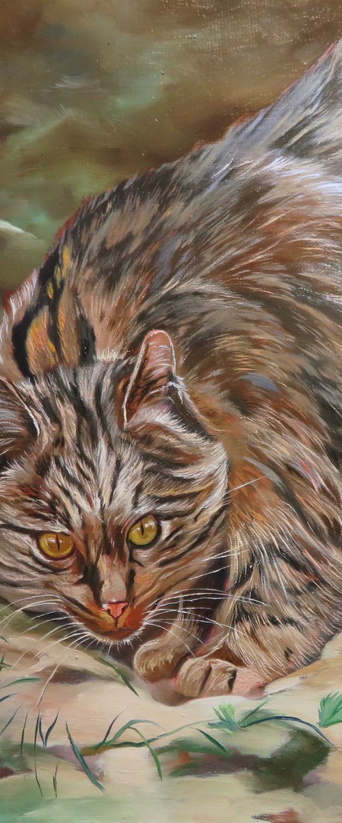 Wild cat 4 by Anne Zamo