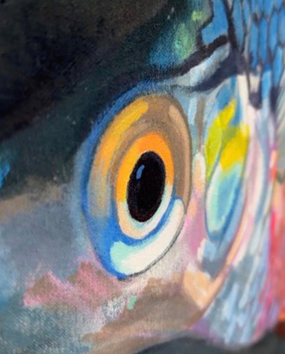 The Rainbow Fish