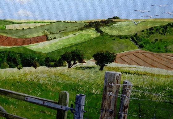 The Harvest Path