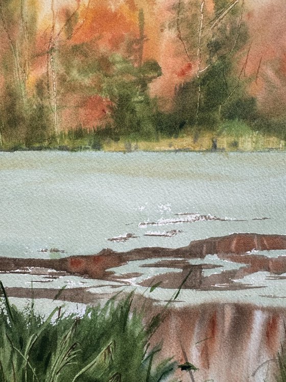Aqua: Among the Reeds