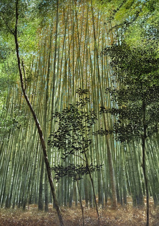 Bamboo Forest in Kyoto