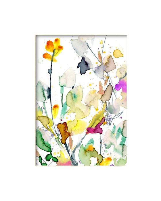 Meadow Delights 14