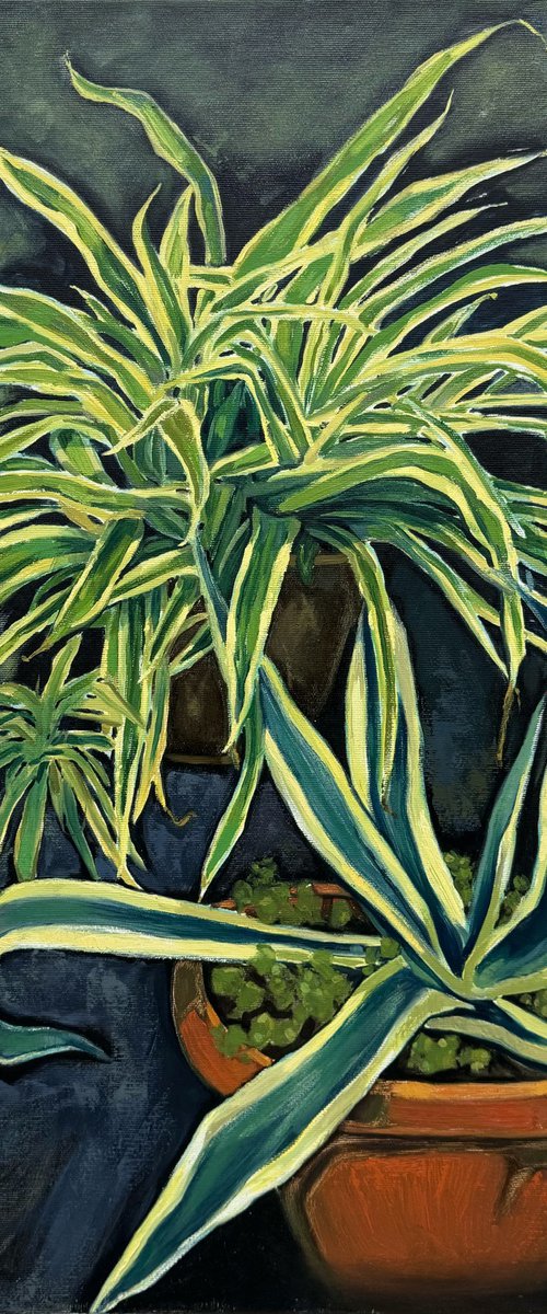 “Green corner” by Raffi Ghazaryan