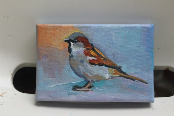 Sparrow #2