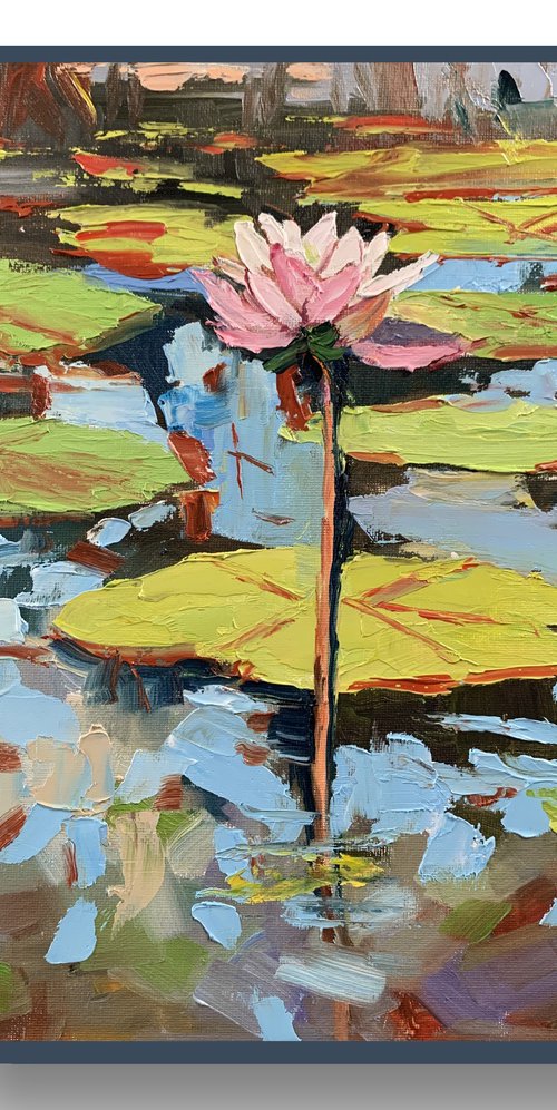 Water Lily pond. by Vita Schagen