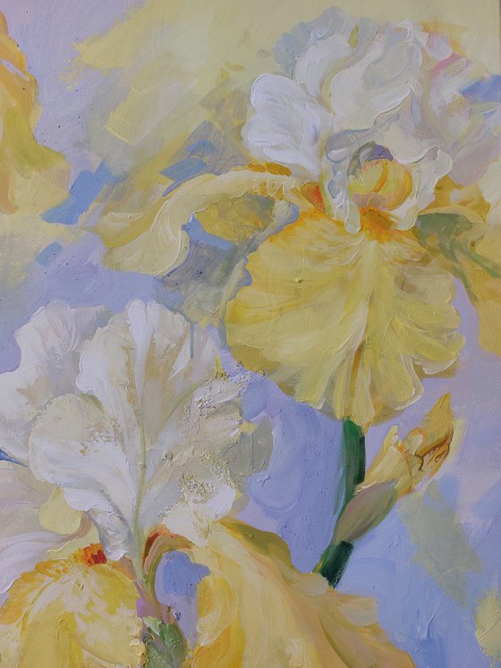 ”Where the Light Blooms”
