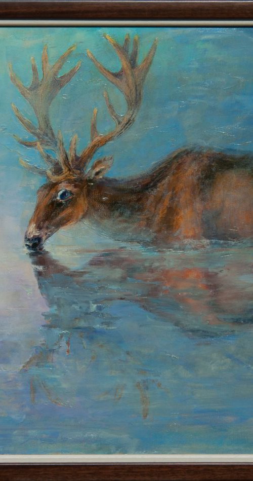 Reflection by Anna Ravliuc
