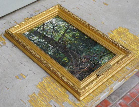 Forest. Fir-tree. Karmanovo