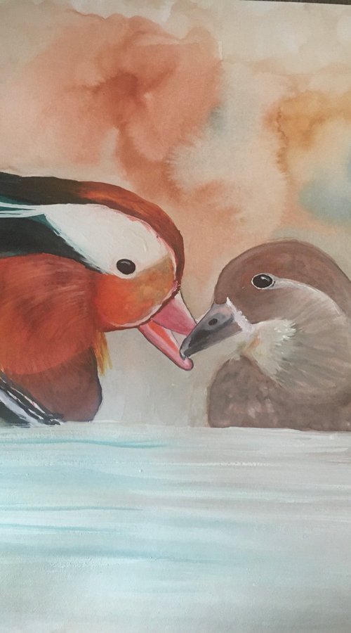 Mandarin Ducks by Timea  Valsami