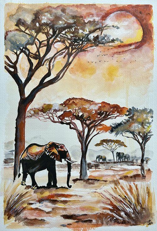 Safari Evening by Misty Lady - M. Nierobisz