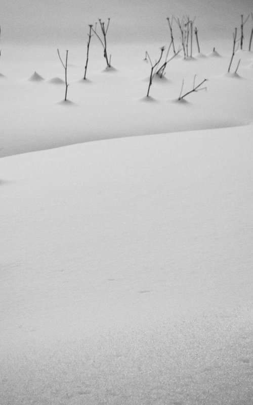 Snow, Study II [Framed; also available unframed] by Charles Brabin