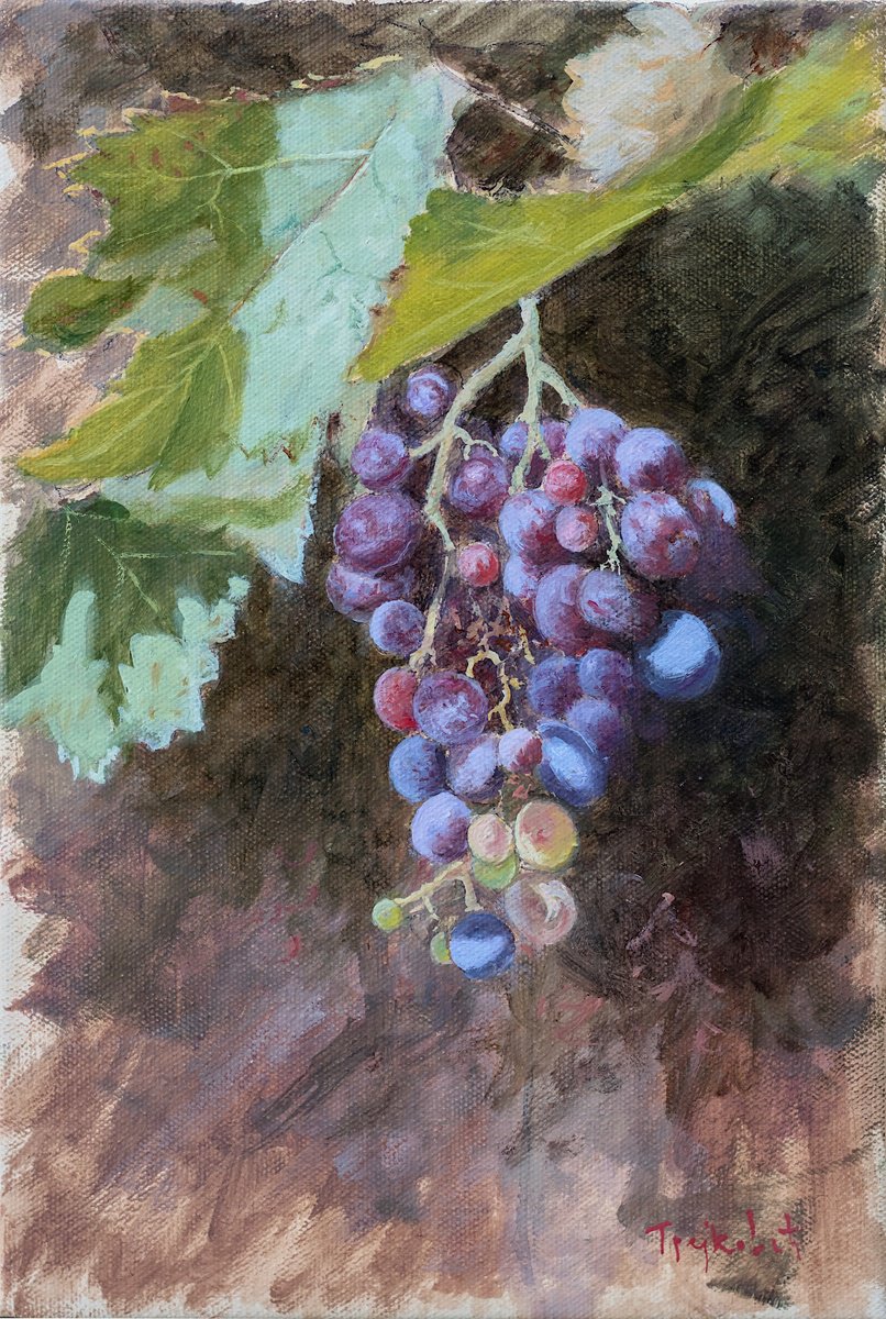 Red Grapes 2 by Dejan Trajkovic