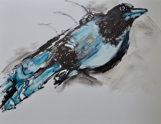 Magpie Study Two