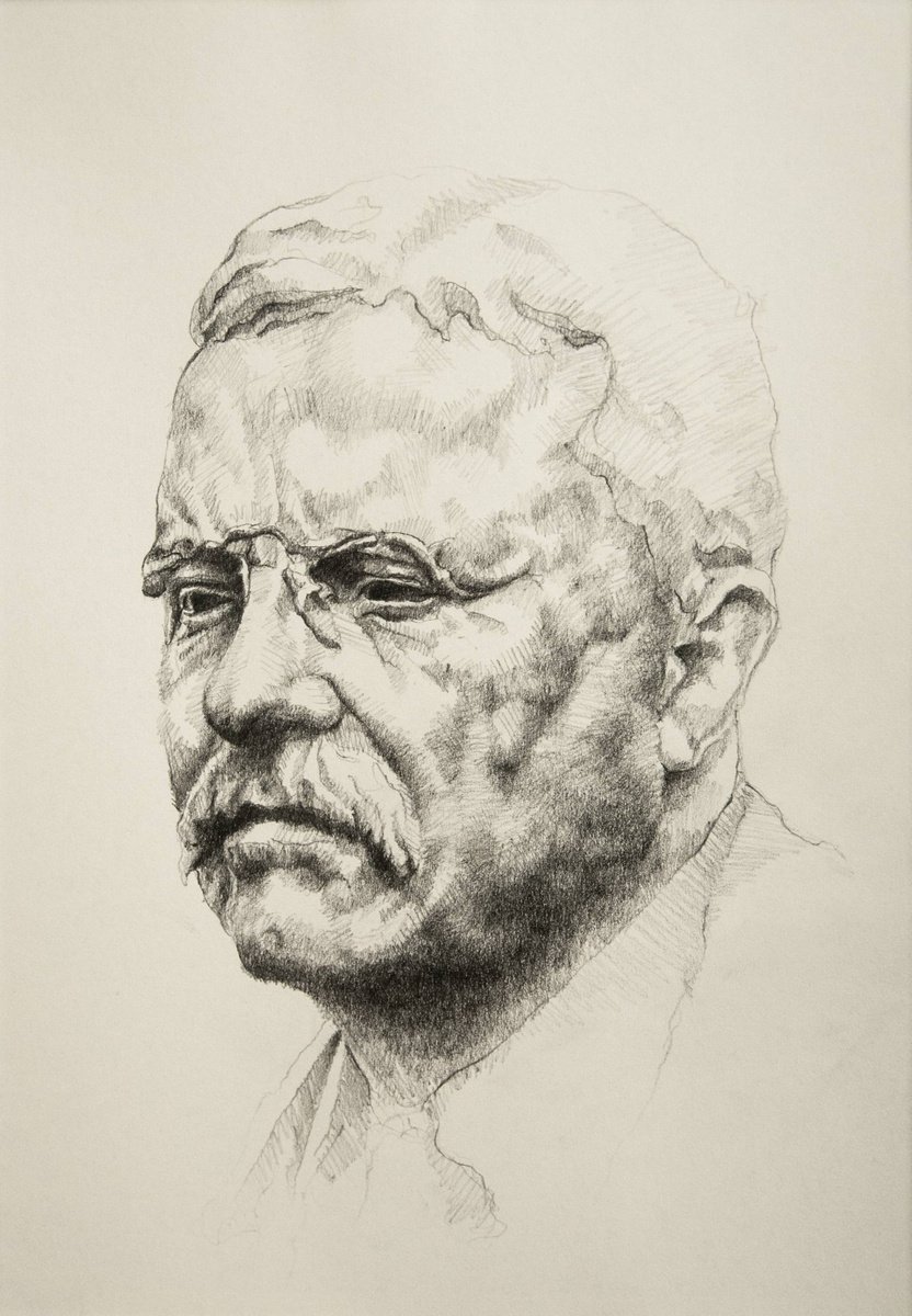Portrait of Theodore Roosevelt by Onur Karaalioglu
