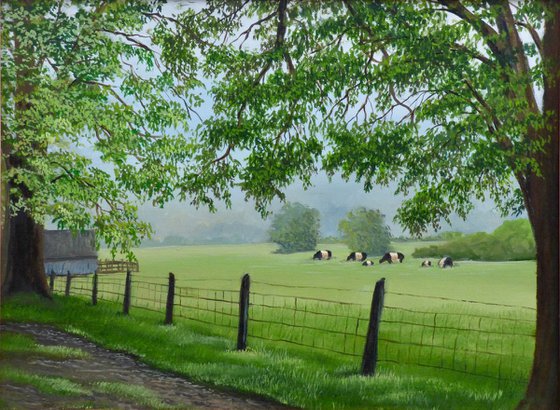 Oreo Cows Grazing