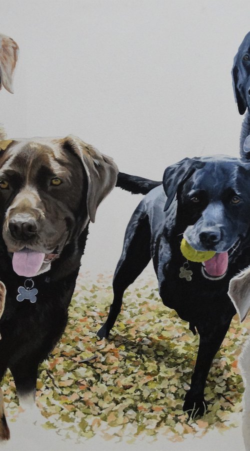 Six Labradors by Julian Wheat