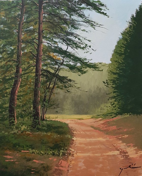 Forest road