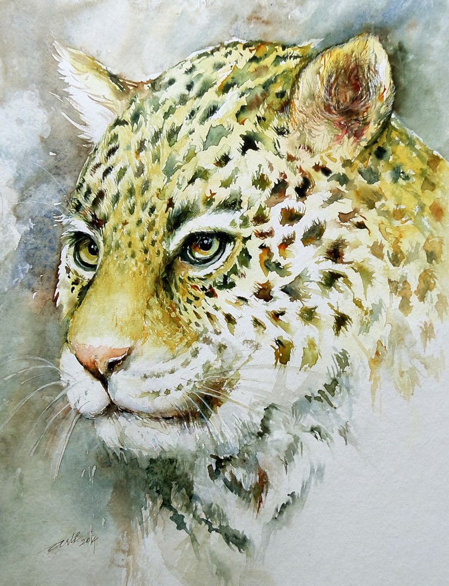 The Jaguar Watercolour By Arti Chauhan 