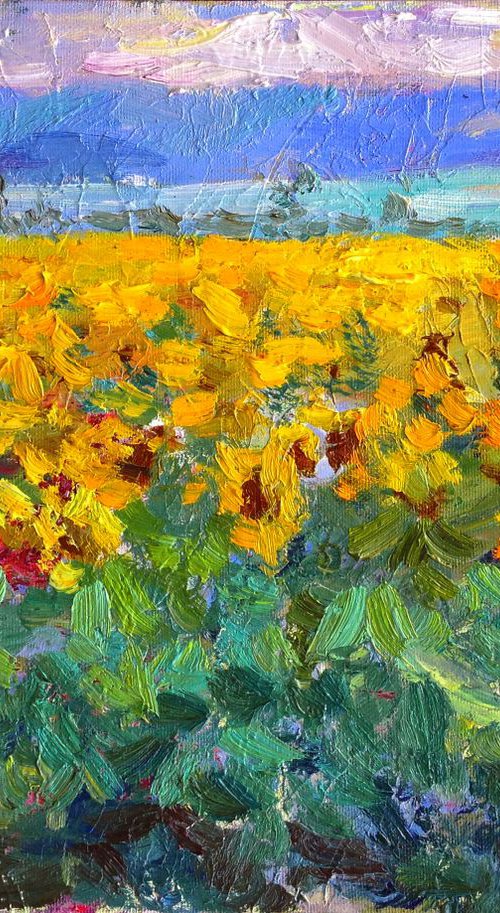 Evening sunflower field .  original oil painting modern by Nataliia Nosyk