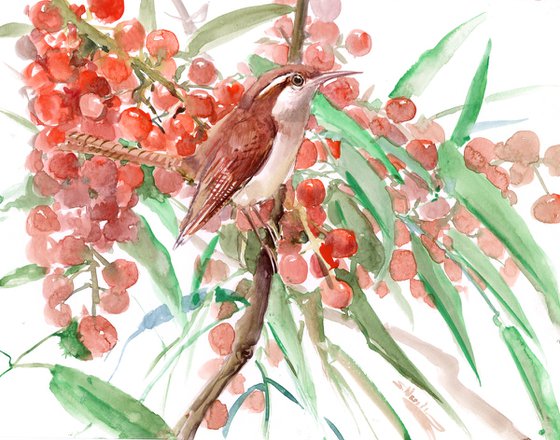 Carolina Wren and Berries