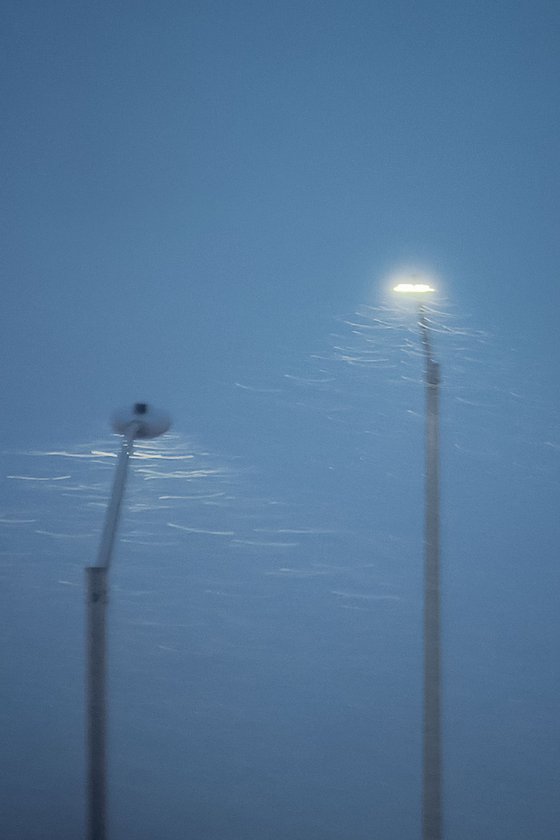 Snow Falls at Midnight