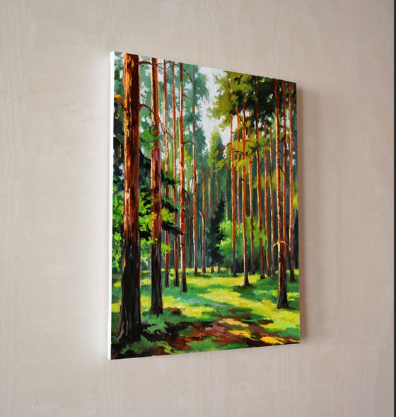 A sunny day in the pine forest