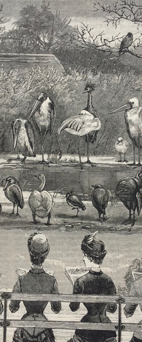 At the Pond by Tudor Evans