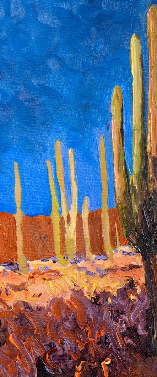 Shadows of the Southwest by Suren Nersisyan