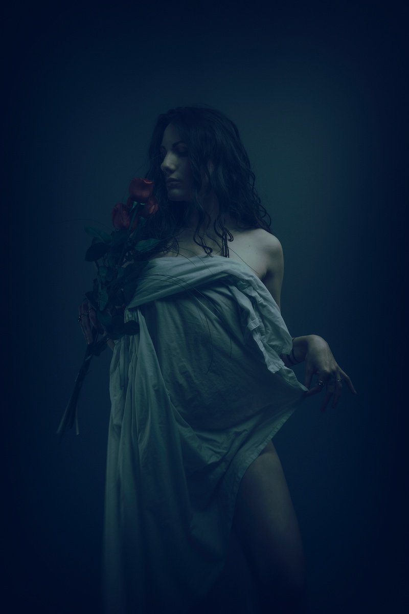Surrealistic Photograph , Silent Blooms By Cedric Brion, 17 X 23, Artwork For Sale On Artfinder