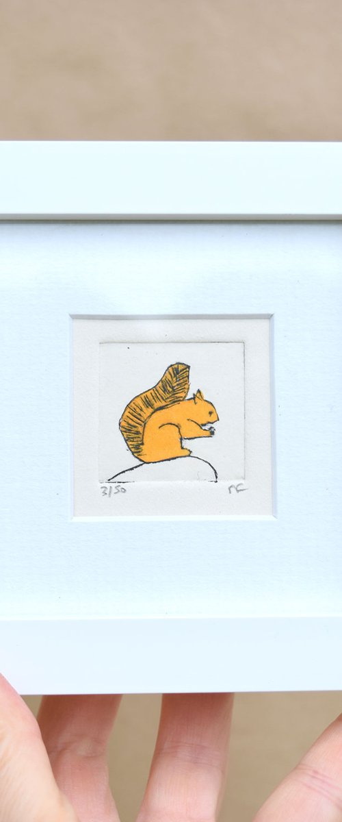 Mini framed red squirrel sitting on a rock by Sally Fisher