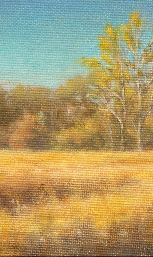 Autumn Prairie and Trees by John Fleck