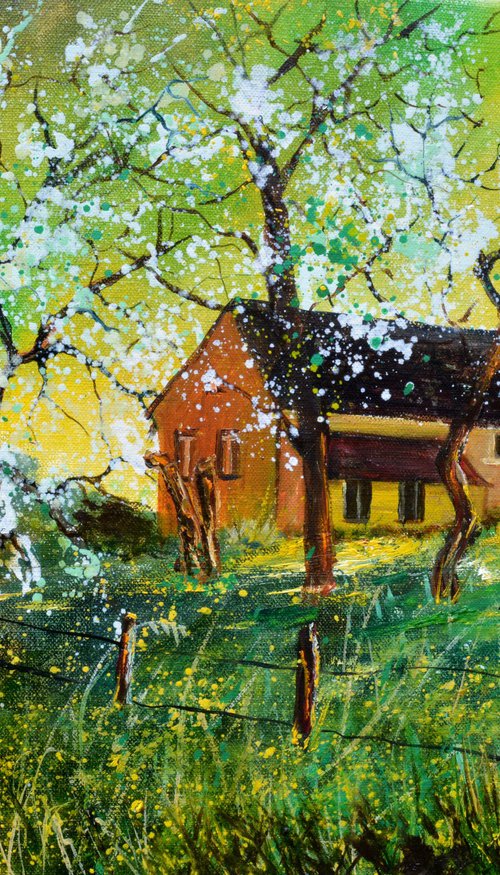 Spring at home 75 by Pol Henry Ledent