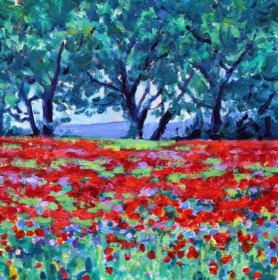 Evening Poppy Meadow