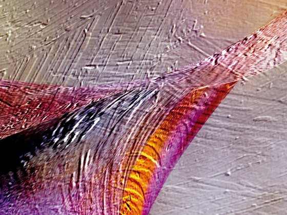 Danza III