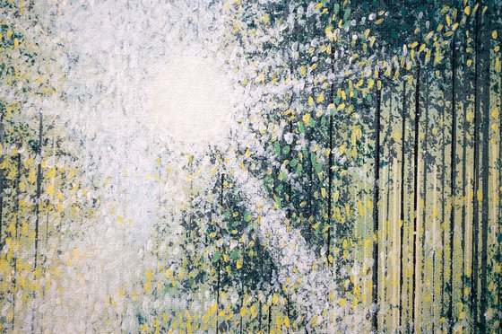 Spring Trees In Dawn Light