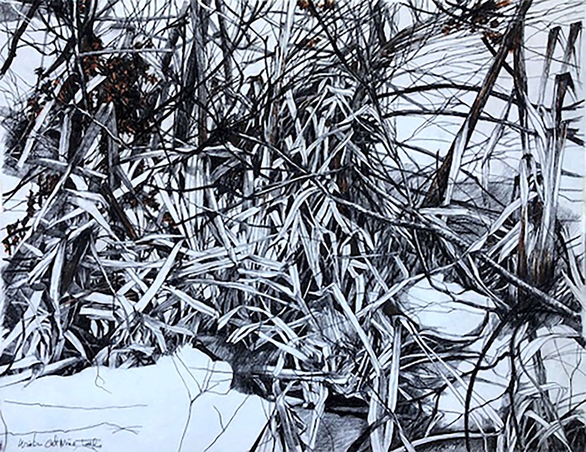 Photorealistic Pastel Drawing , Winter Cat O