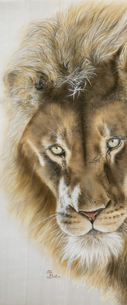 Lion by Olga Belova