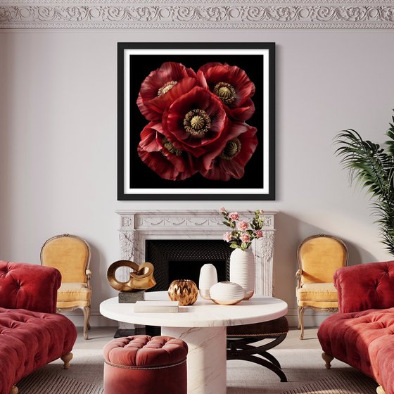 Velvet Poppies