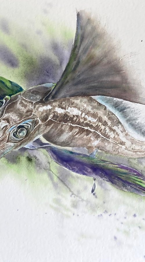 Flying fish by Natalia Butenko
