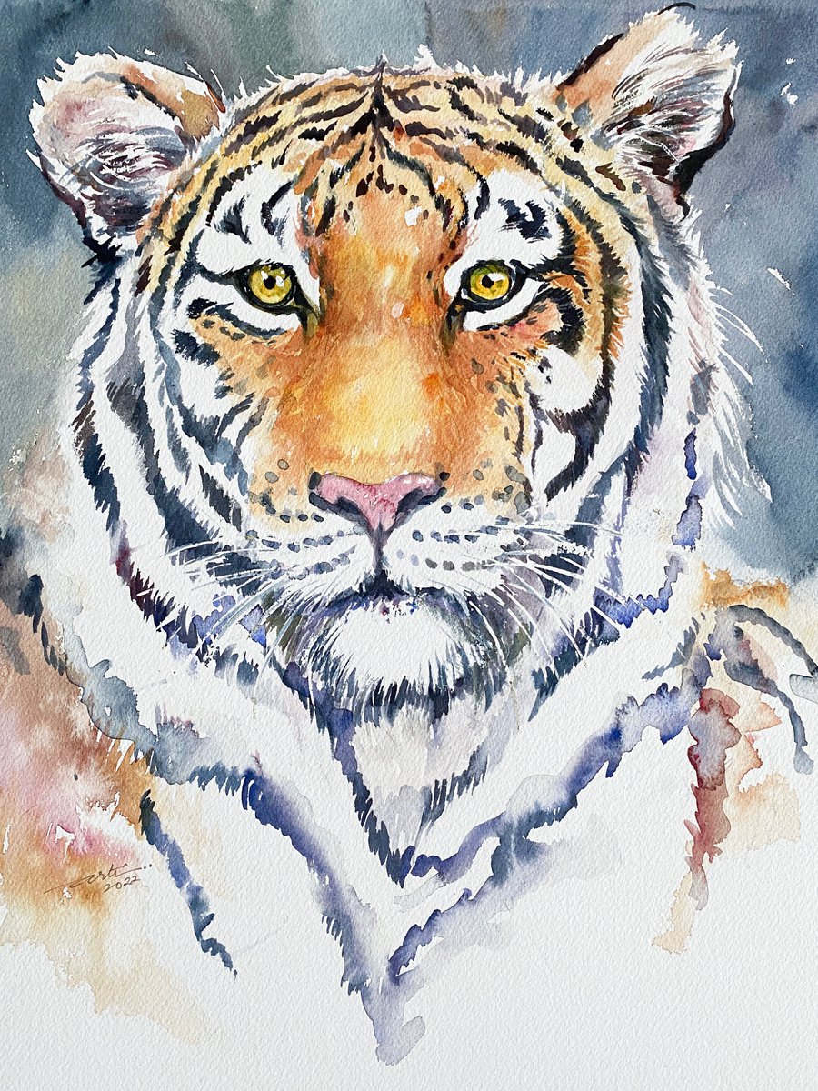 Impressionistic Animal Watercolour By Arti Chauhan, 12 X 16, Regal Ray_Tiger, Original Artwork