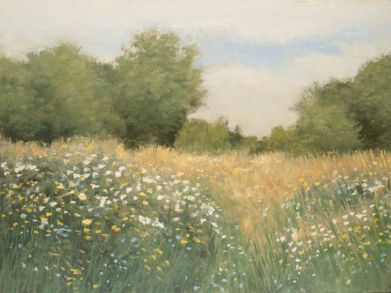 Summer Wildflowers 260528