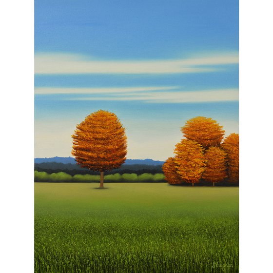 Autumn Gold and Red - Blue Sky