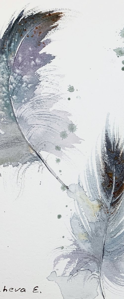 Feathers #2 by Eugenia Gorbacheva
