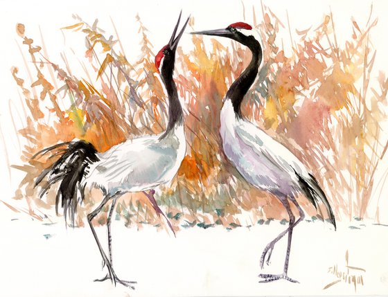 Japanese Cranes Dancing