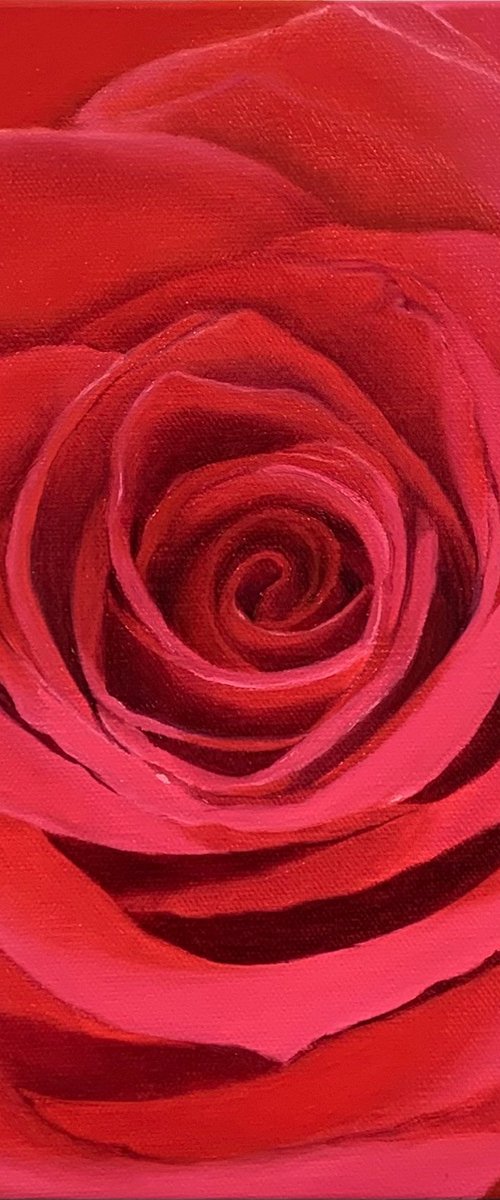 True Love. Rose by Alla Kallass