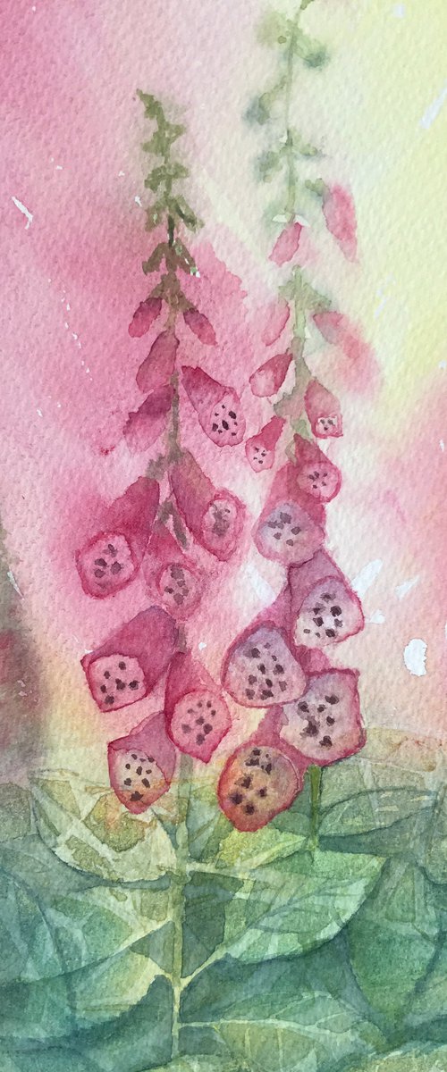 Pink Foxgloves by JANE  DENTON