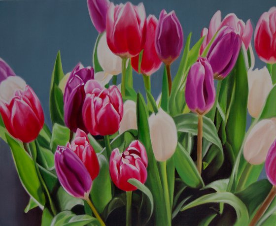 Tulips